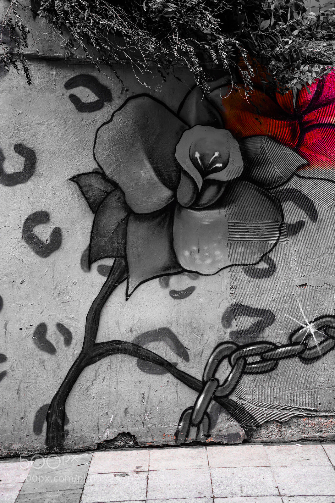 Nikon D7100 sample photo. Black and white photography