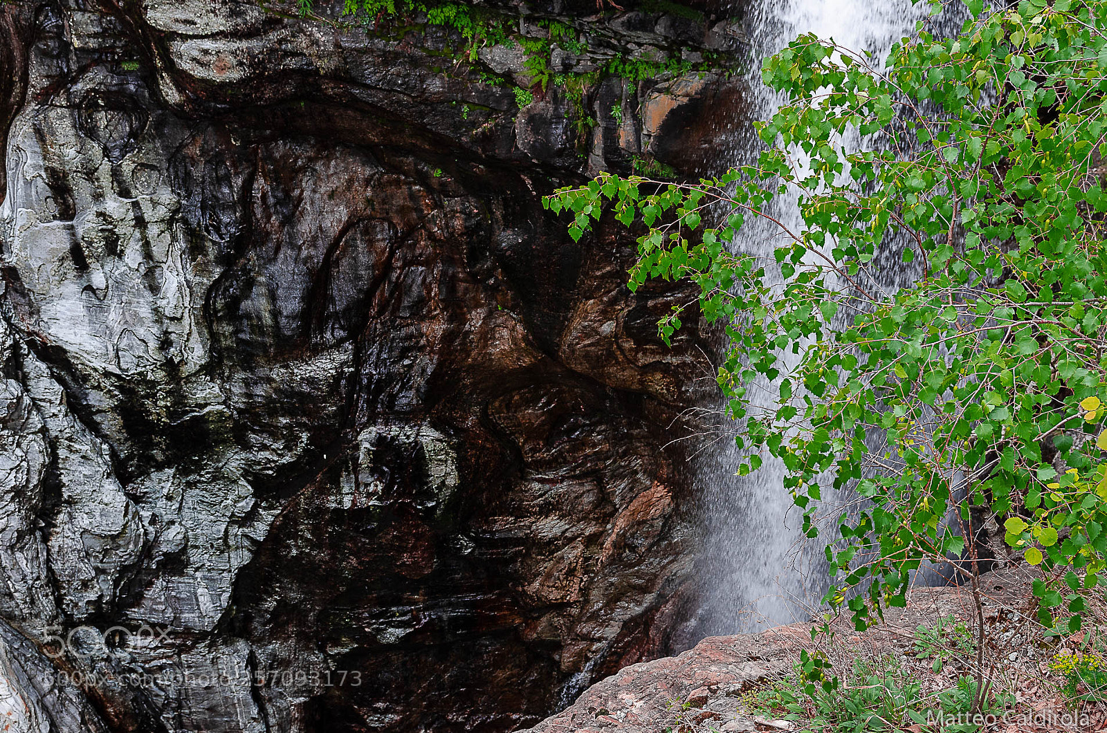 Nikon D7000 sample photo. Elements photography