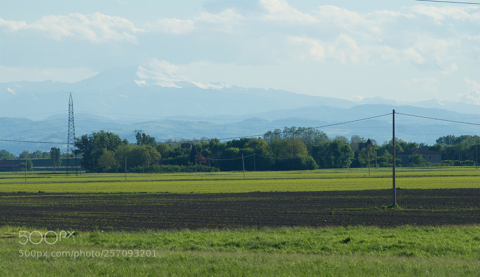 Nikon D60 sample photo. Version photography