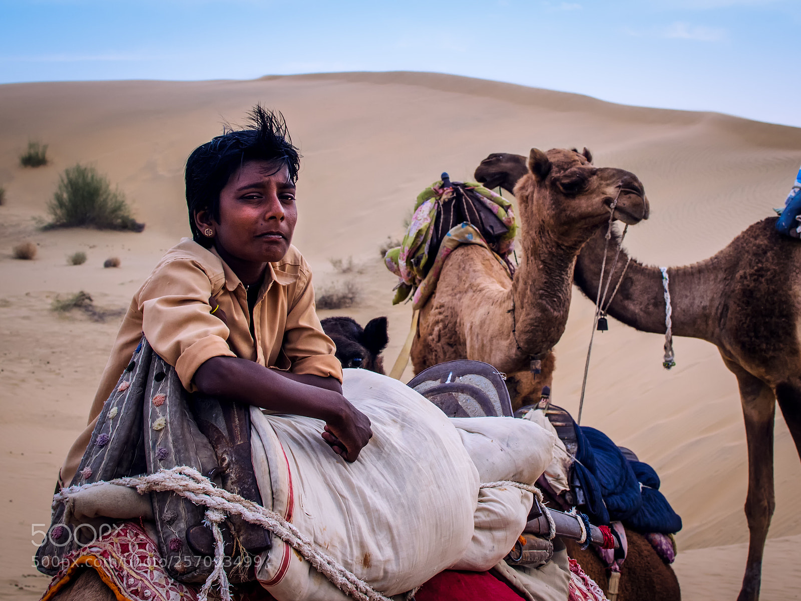 Nikon D3300 sample photo. Prince of desert photography