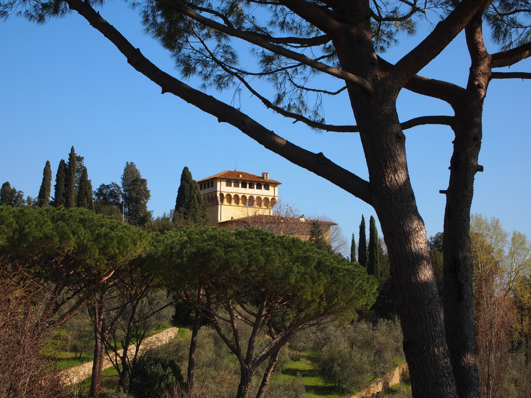 Olympus PEN E-PL1 sample photo. Villa di maiano photography