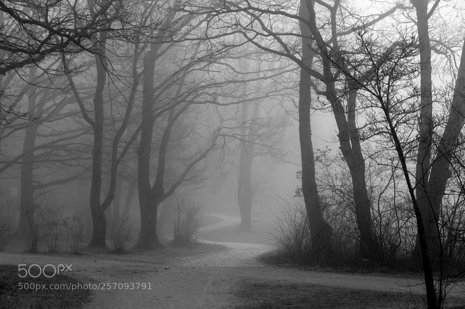 Nikon D7100 sample photo. Winding road ii photography