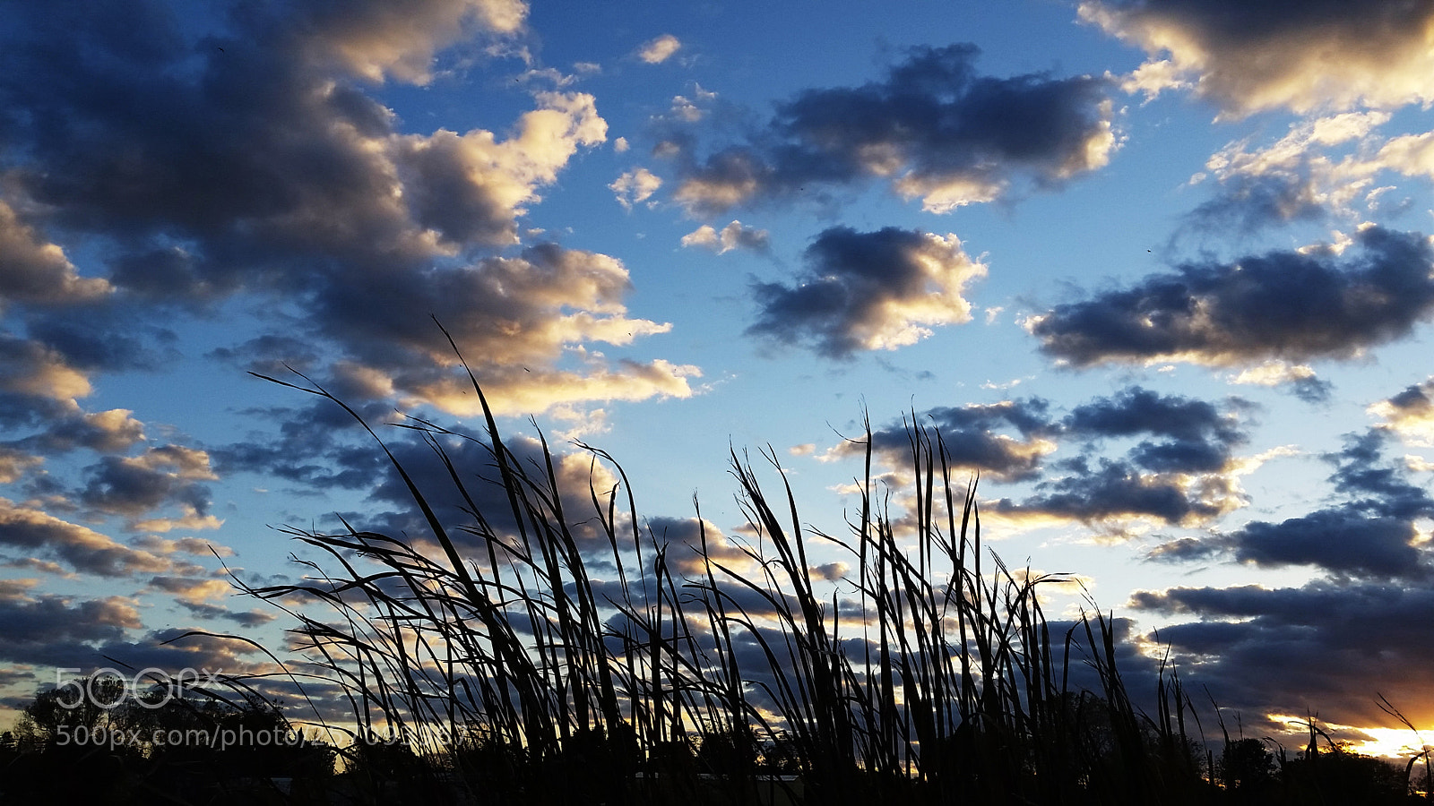 Samsung Galaxy S5 sample photo. Cloudy sunset photography