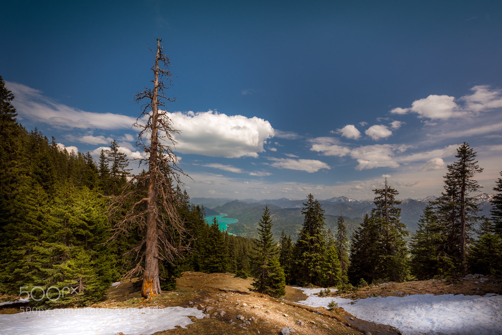 Nikon D750 sample photo. Valley photography