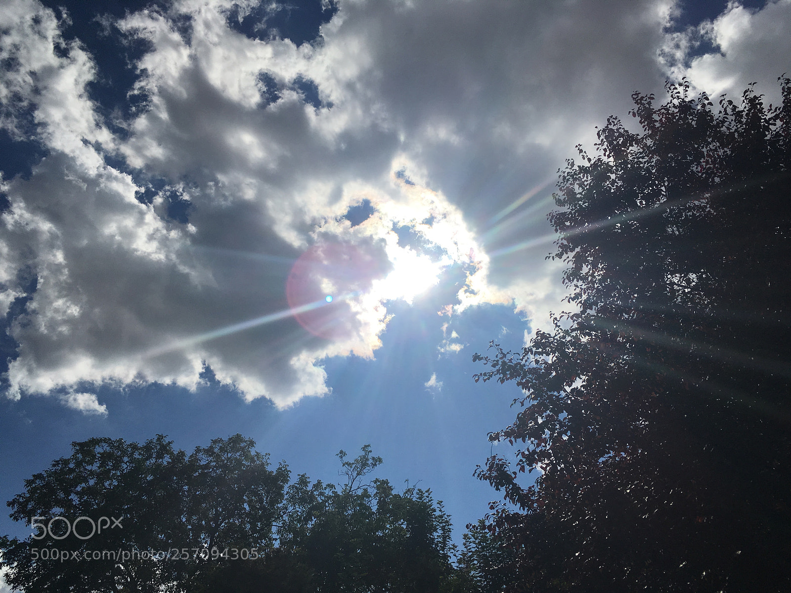 Apple iPhone SE sample photo. Img photography