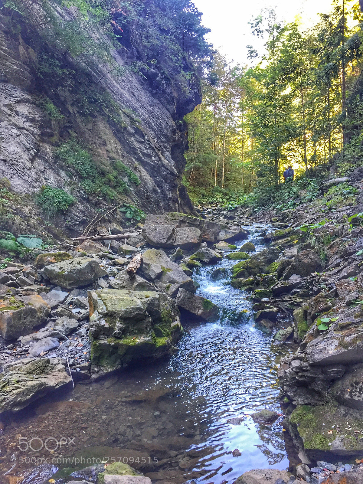 Apple iPhone 6 sample photo. Water in nature photography