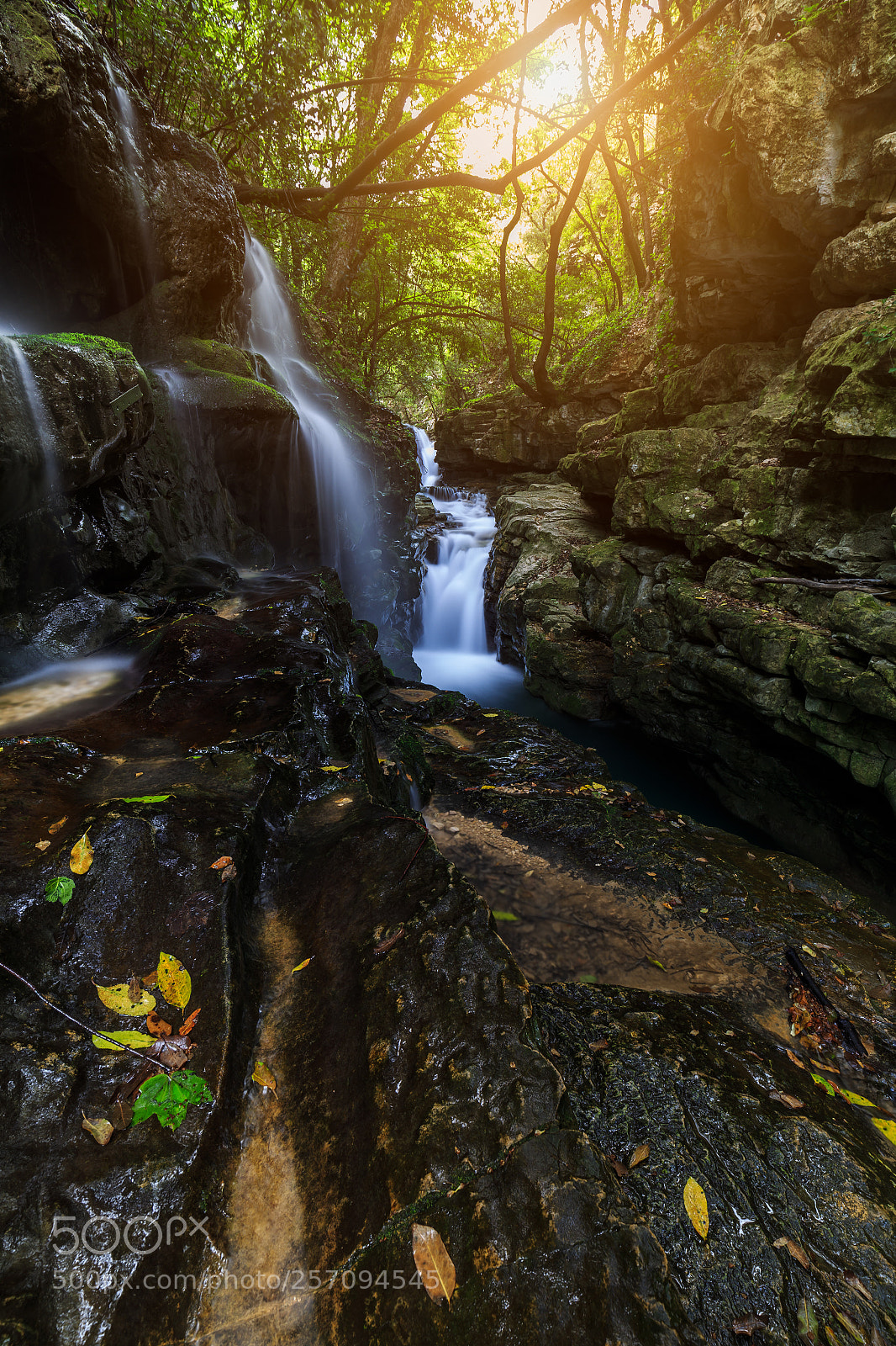 Canon EOS 6D sample photo. Tropical way photography