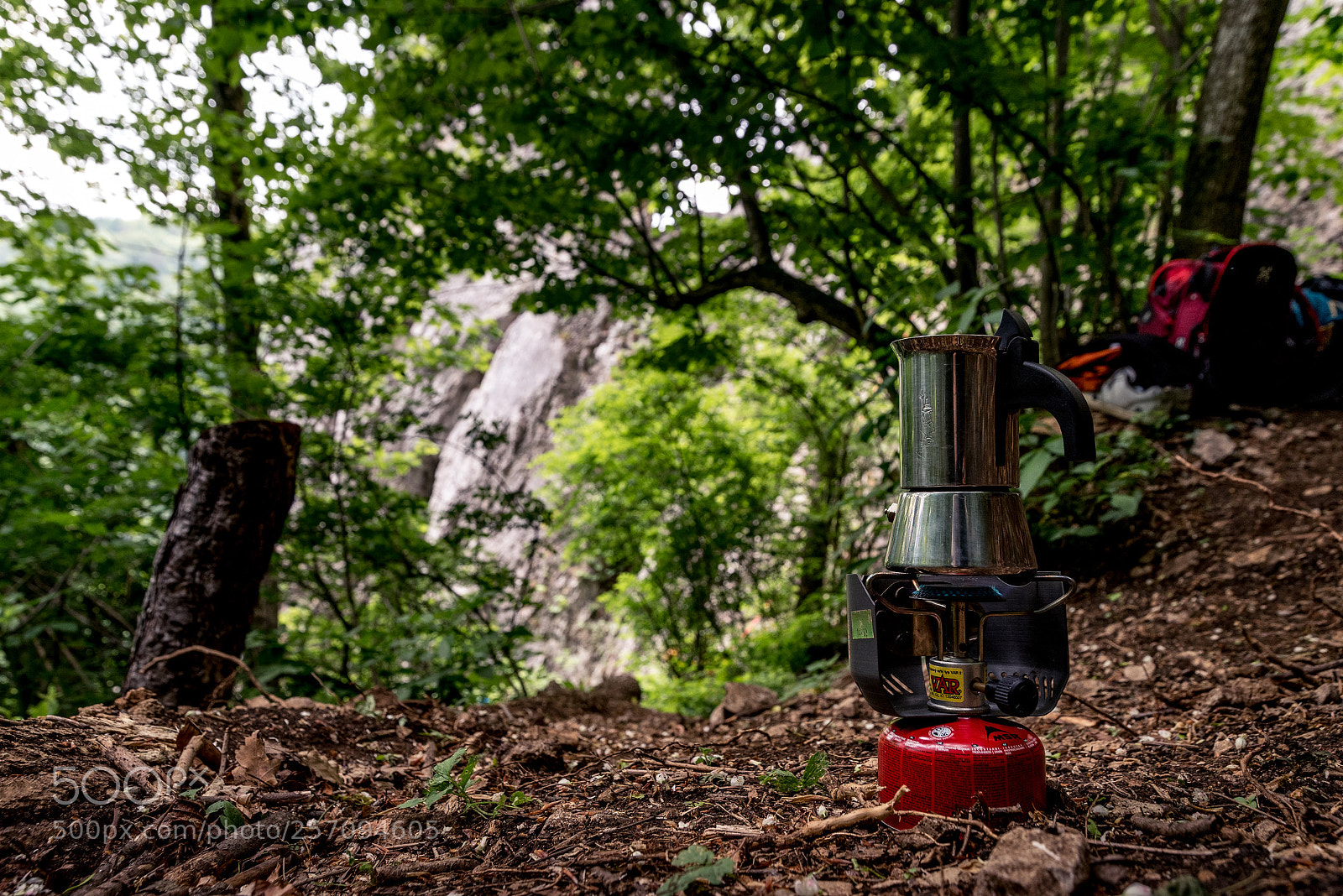 Nikon D750 sample photo. Nature coffe vol climbing photography