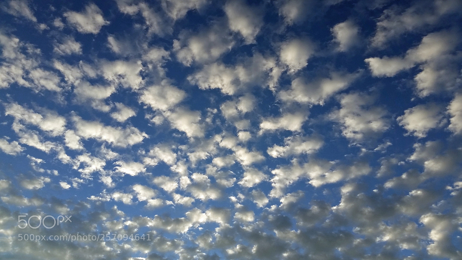 Samsung Galaxy S5 sample photo. Cumulus sky photography