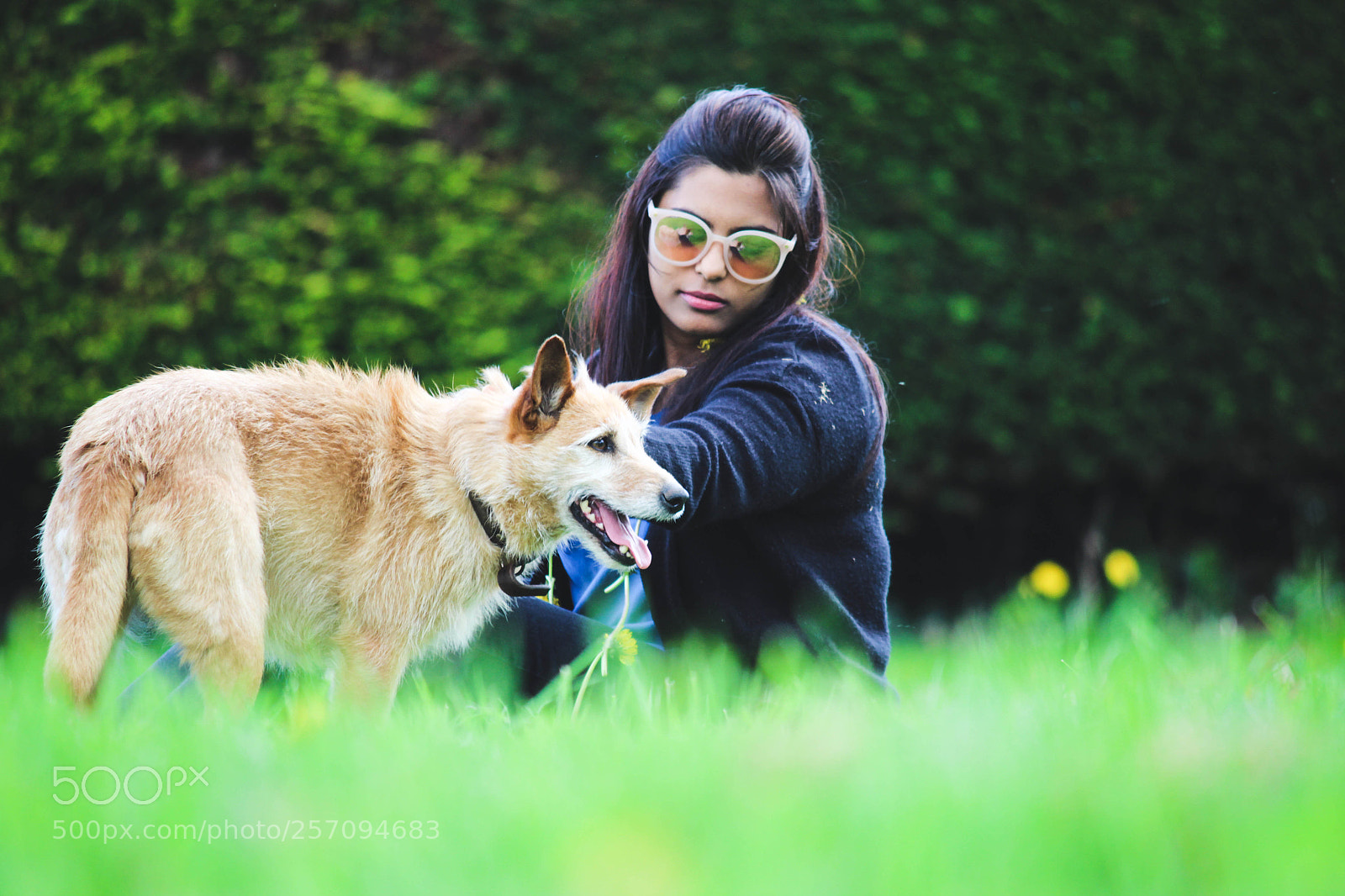 Canon EOS 1200D (EOS Rebel T5 / EOS Kiss X70 / EOS Hi) sample photo. Pawprints photography