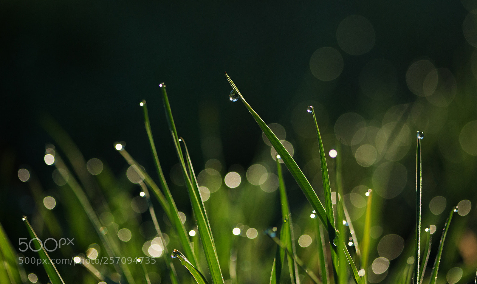 Canon EOS 6D sample photo. Lanterns photography
