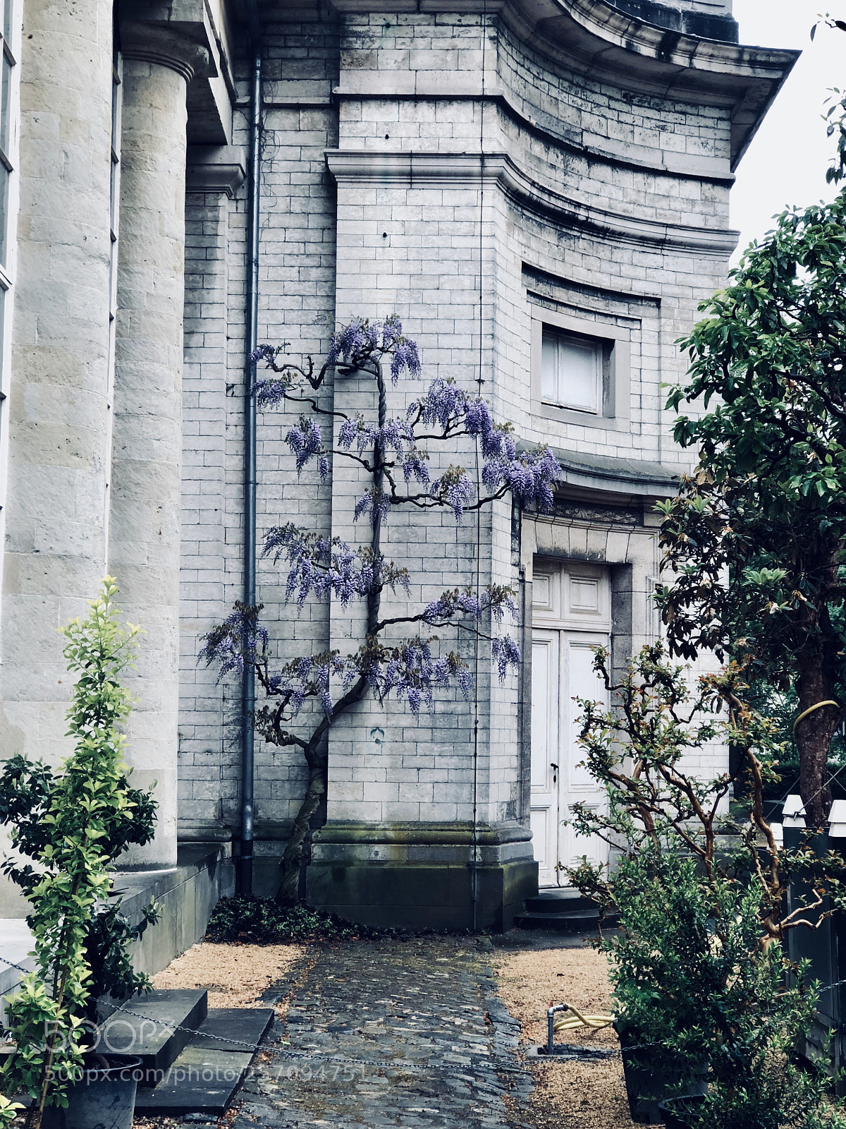 Apple iPhone 8 Plus sample photo. Royal greenhouses 2 photography