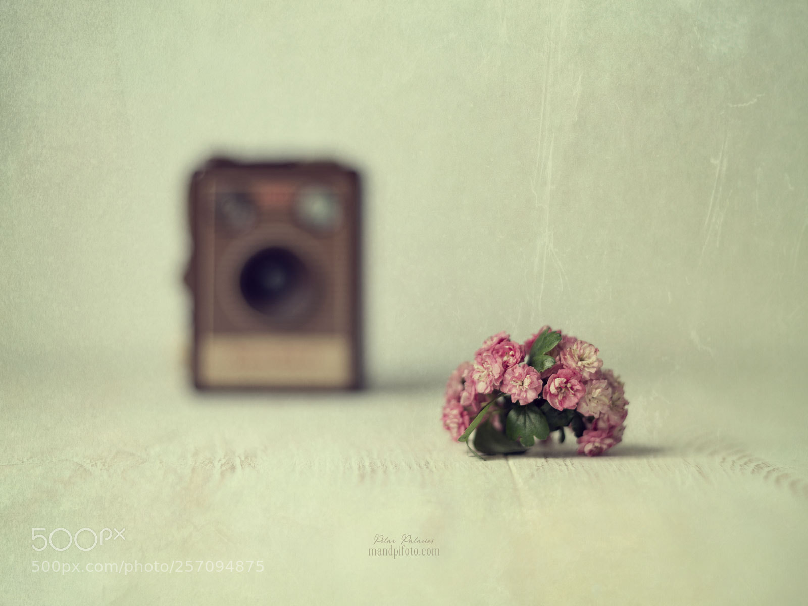 Canon EOS 6D sample photo. Pequeños tesoros photography