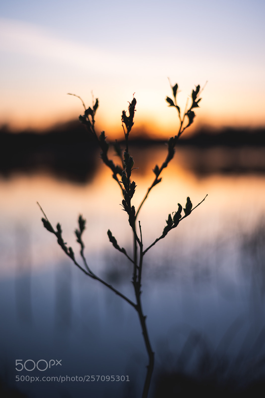Nikon D750 sample photo. Those warm summer nights photography