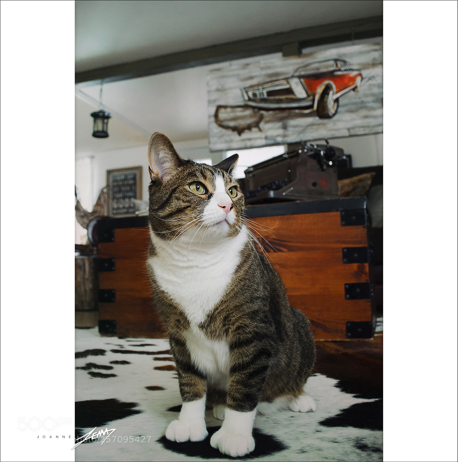 Nikon D3100 sample photo. Petit jerry. photography