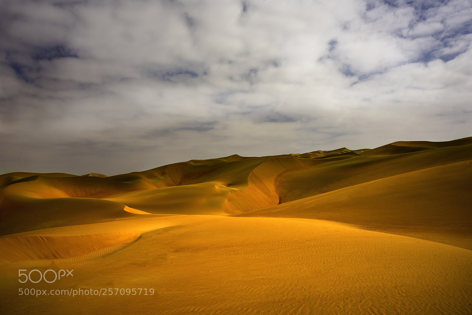 Nikon D810 sample photo. Land of red sand photography