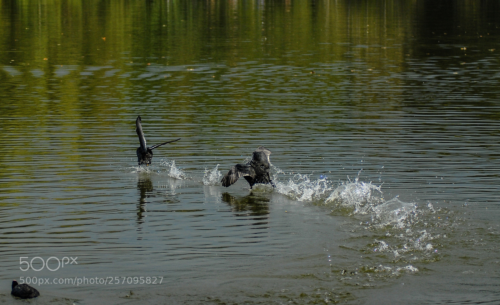 Nikon D200 sample photo. Go out of my photography