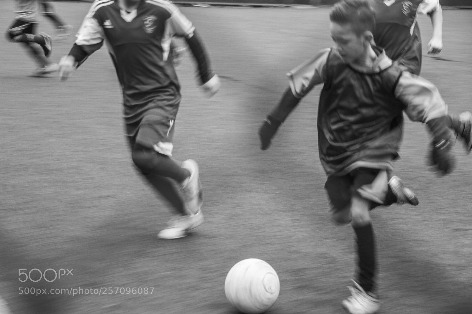 Canon EOS 7D sample photo. Img photography