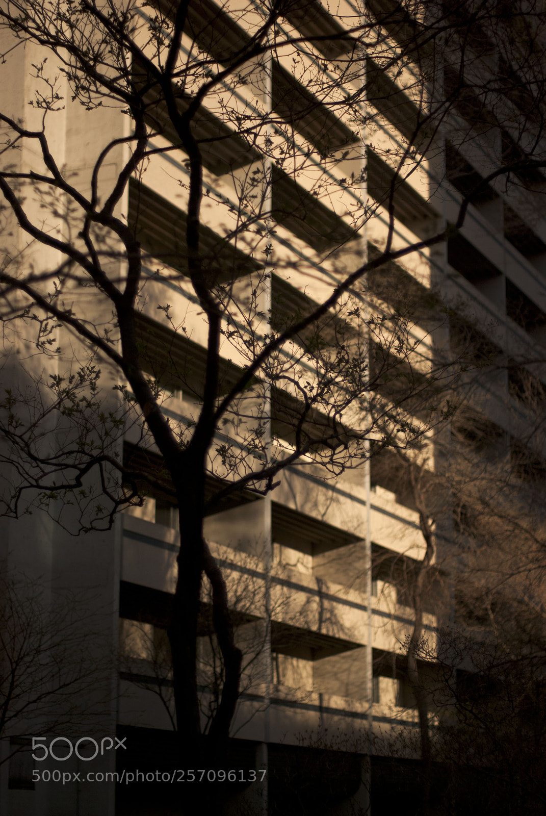 Pentax K10D sample photo. City photography