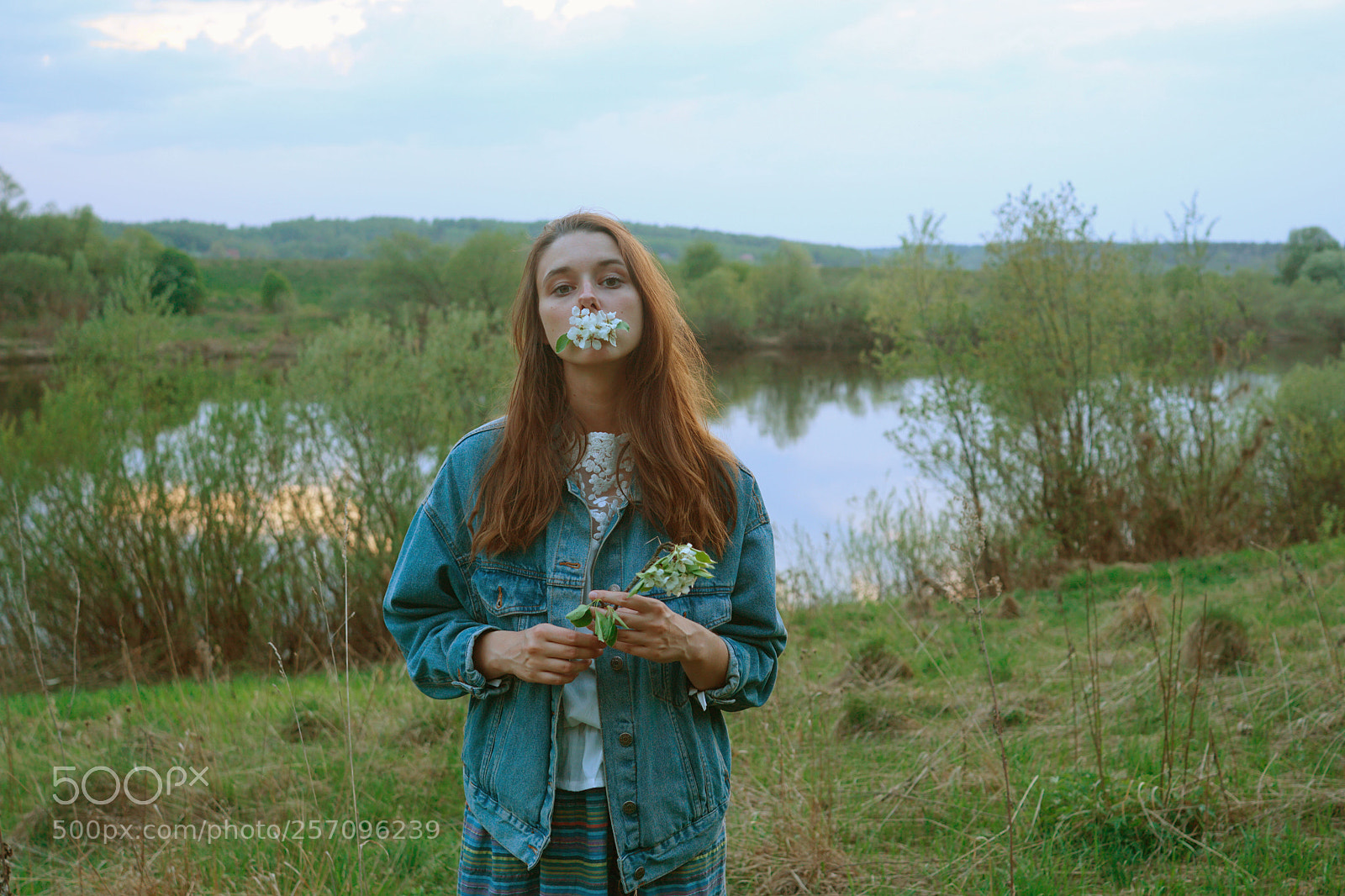 Sony a6500 sample photo. Dsc photography