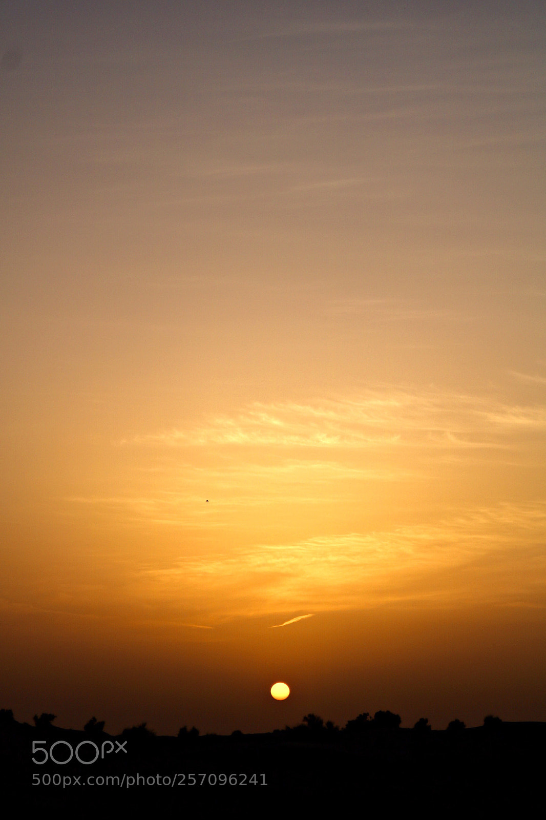 Canon EOS 750D (EOS Rebel T6i / EOS Kiss X8i) sample photo. Untitled photography