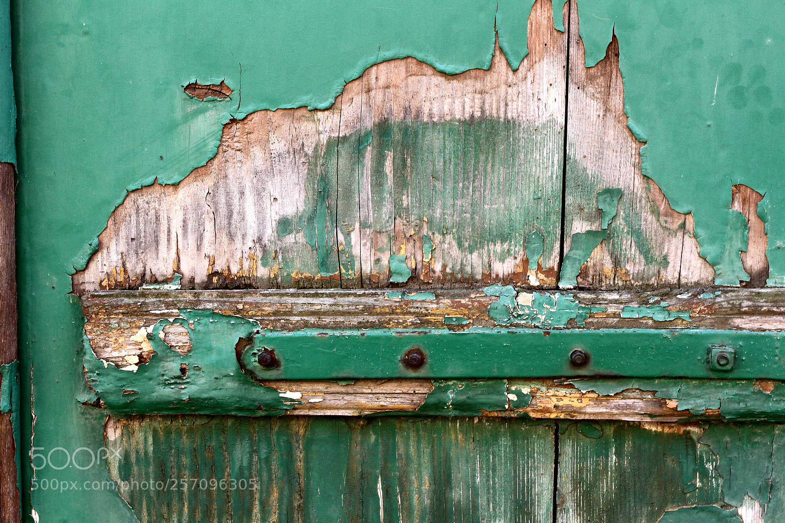 Canon EOS 7D sample photo. Volet vert. photography