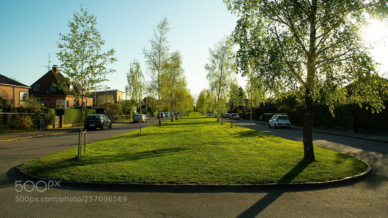 Sony a7S sample photo. Grass on avenue photography