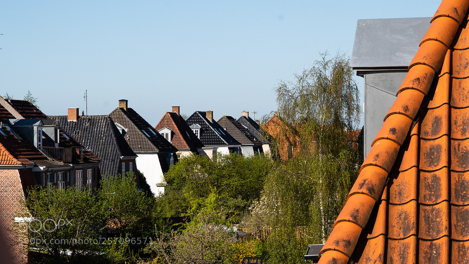 Sony a7S sample photo. Houses photography