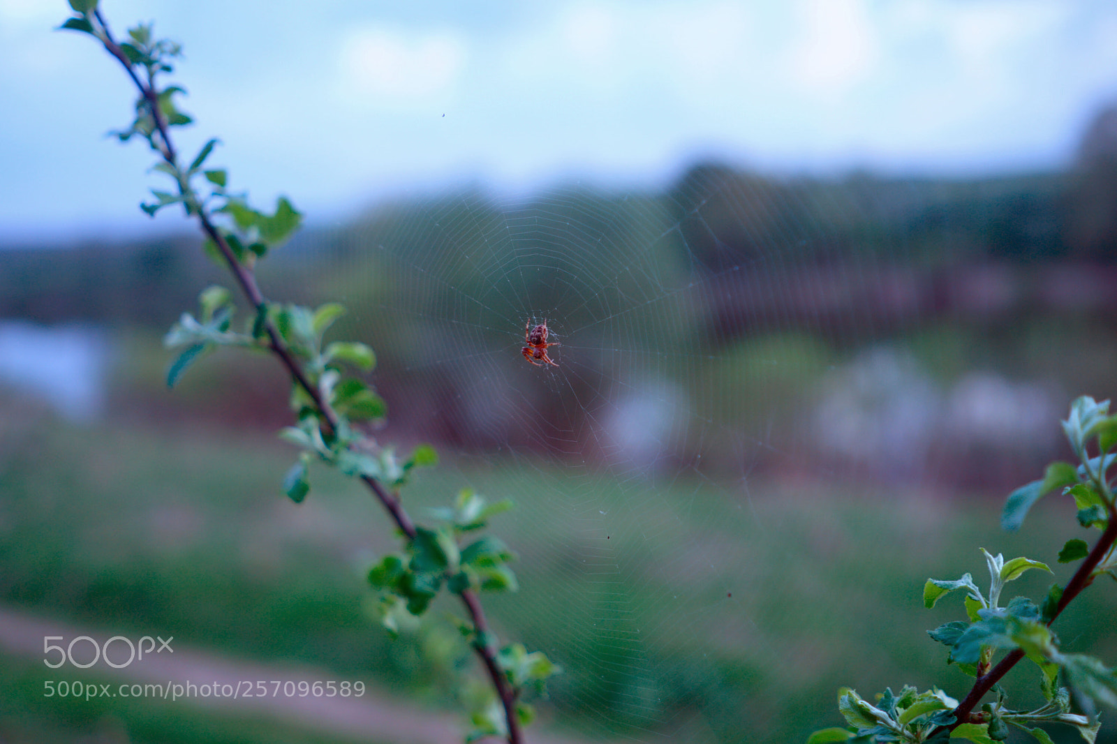 Sony a6500 sample photo. Dsc photography