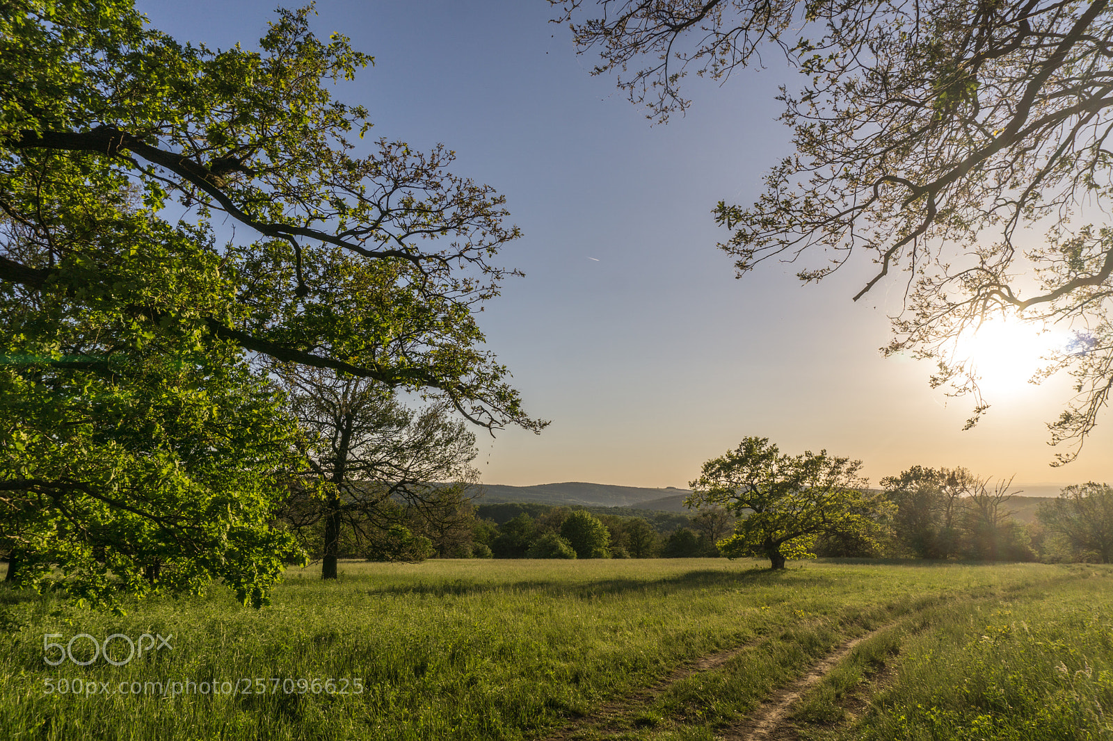 Sony a6000 sample photo. Certoryje, white carpathians photography