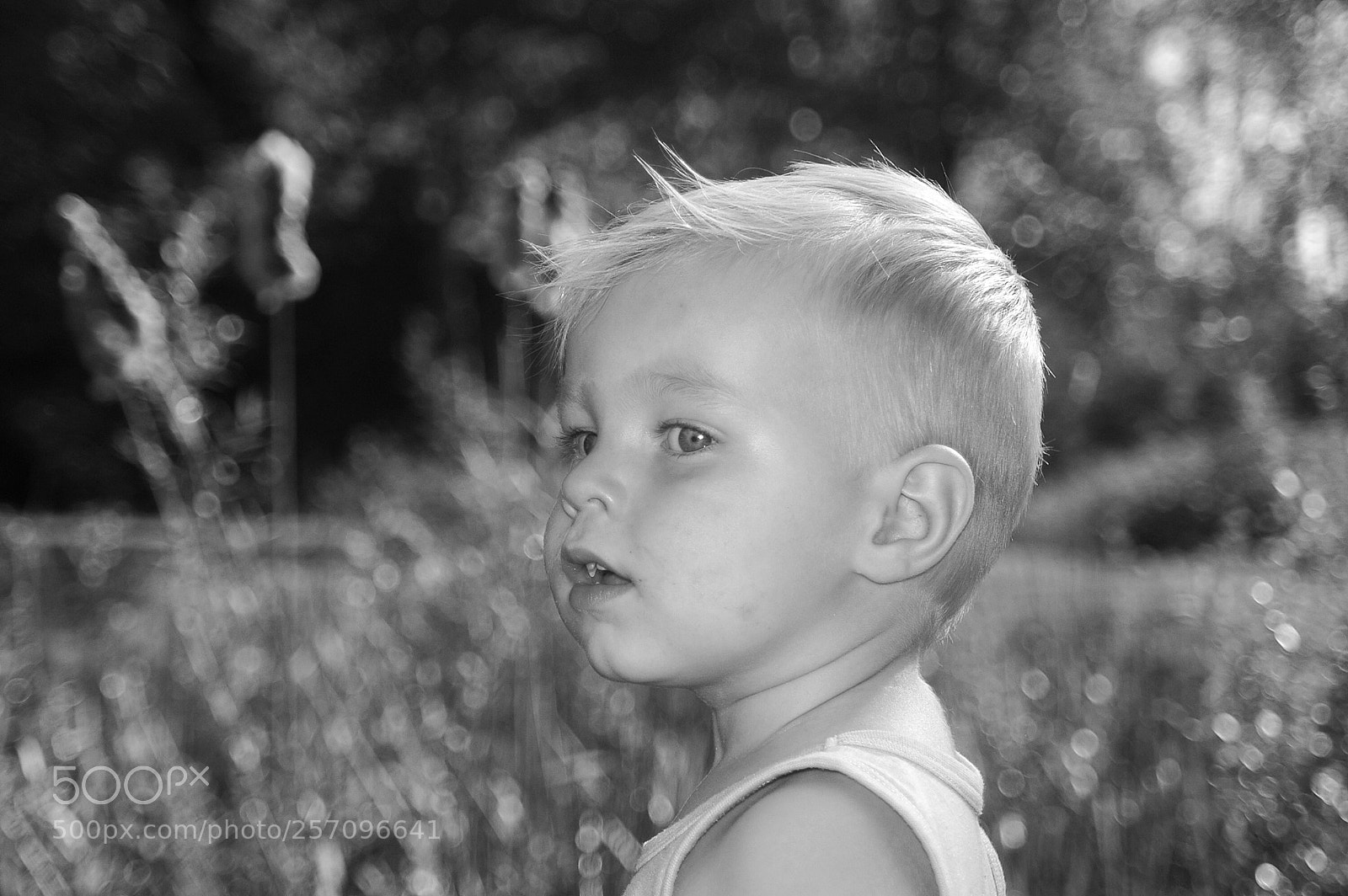 Nikon D70 sample photo. Gaze photography