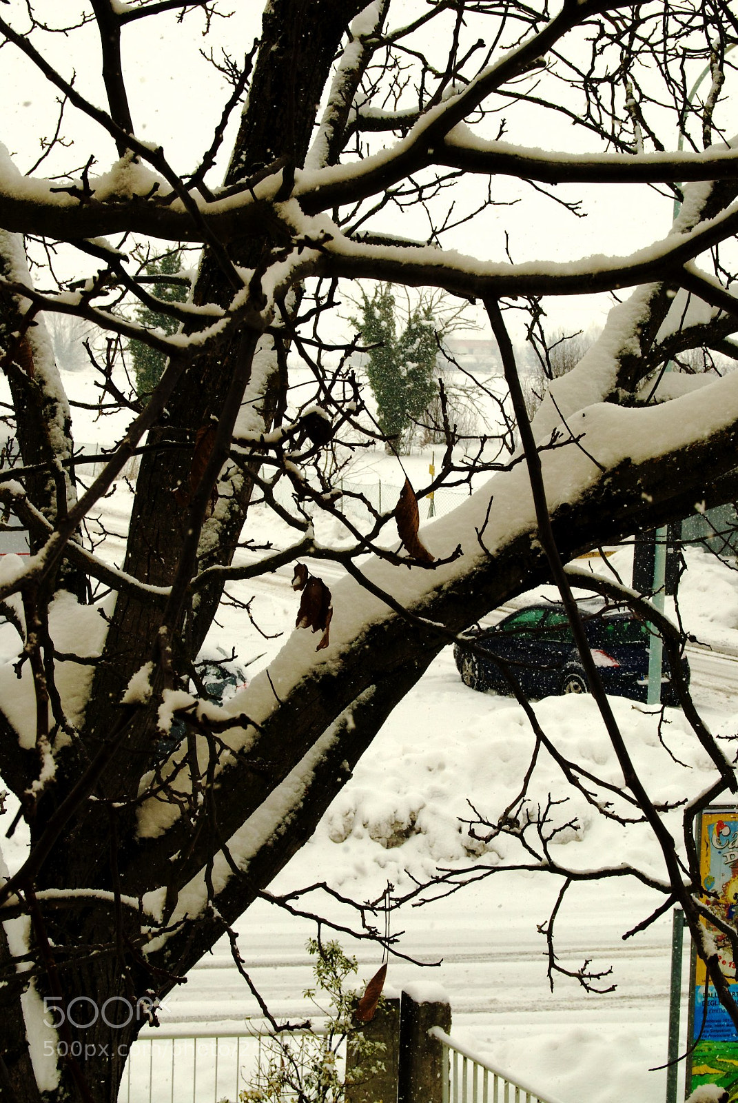 Nikon D60 sample photo. Version photography