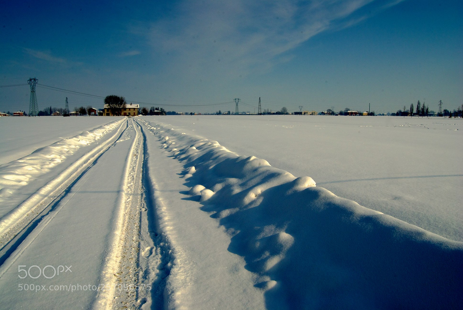Nikon D60 sample photo. Version photography