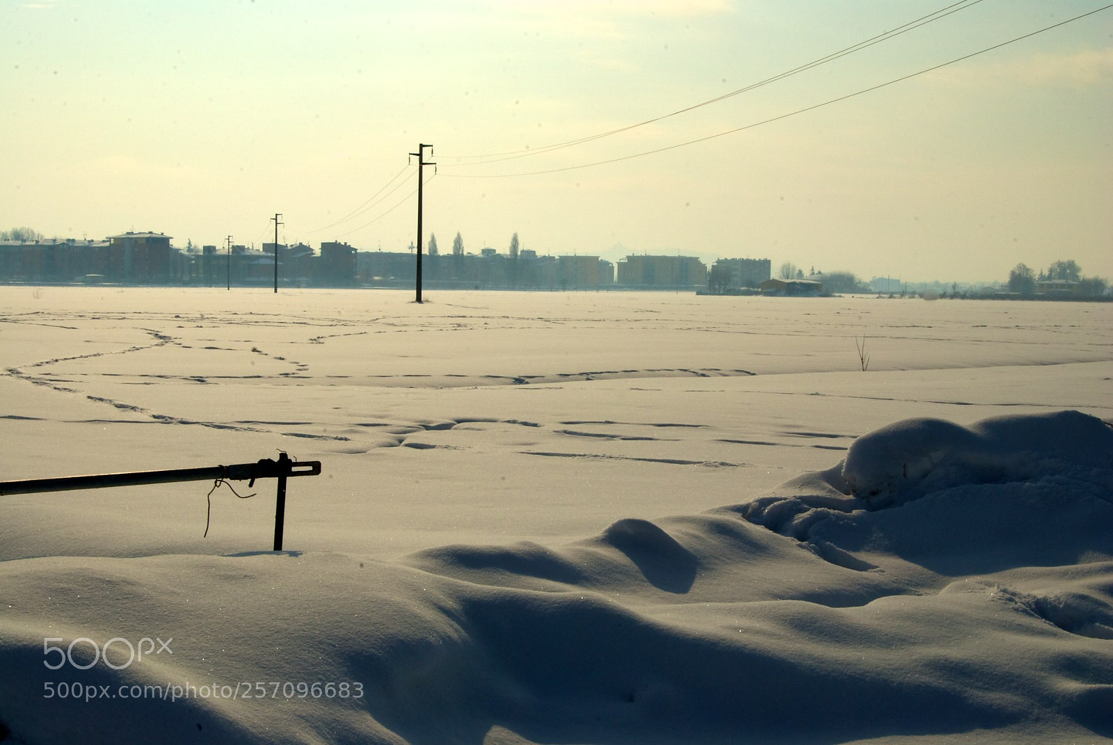 Nikon D60 sample photo. Version photography
