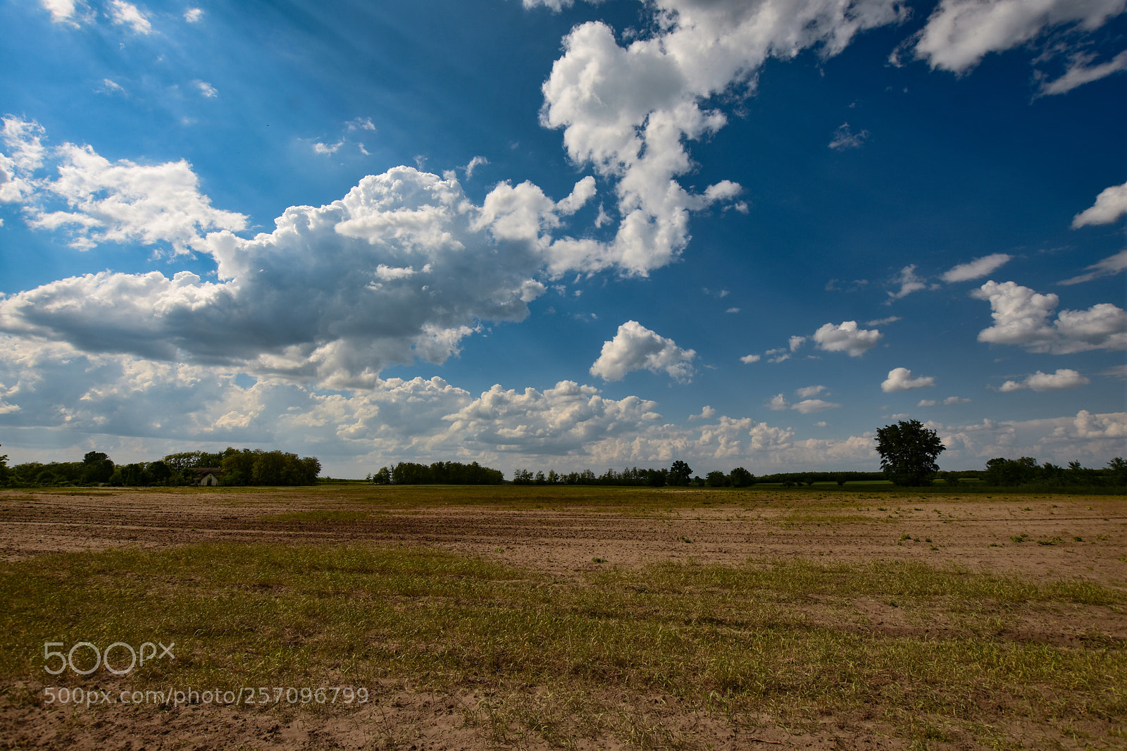 Nikon D7200 sample photo. Untitled photography