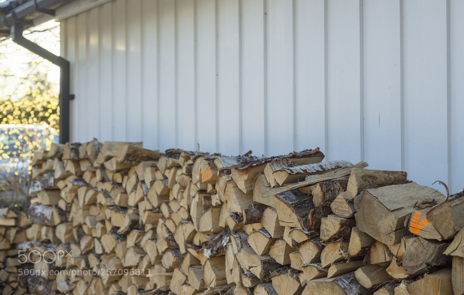 Canon EOS 6D sample photo. Ready to next winter photography