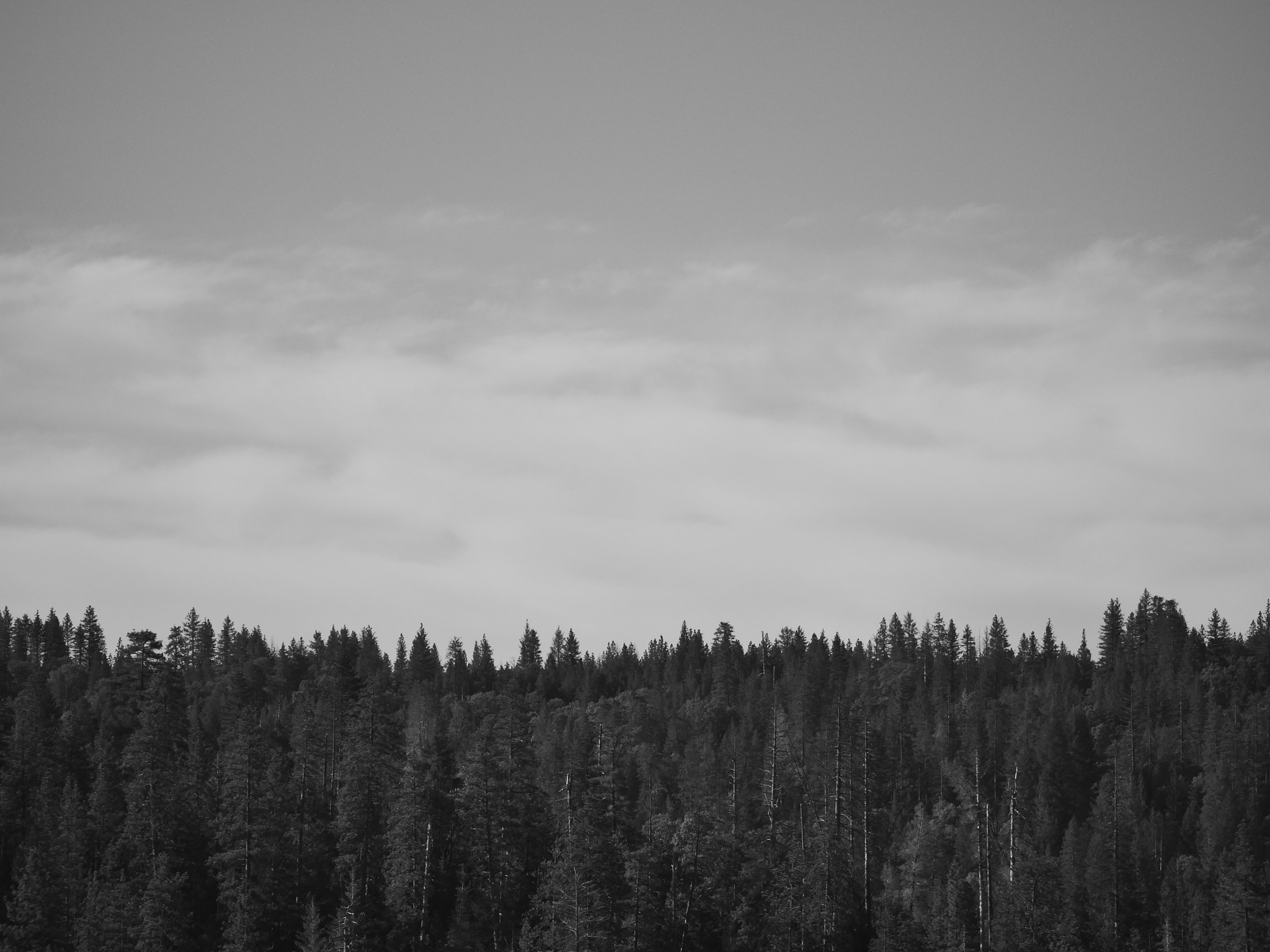 Panasonic Lumix DC-GX9 sample photo. Wilderness photography