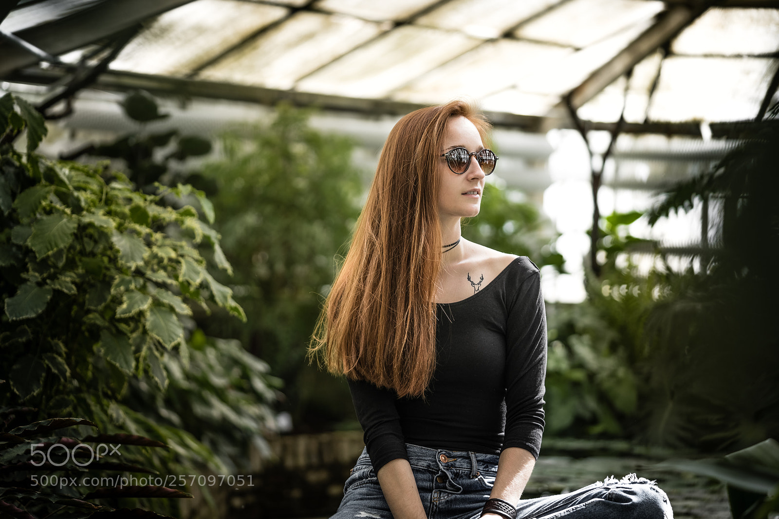 Sony a7 II sample photo. Mirka photography