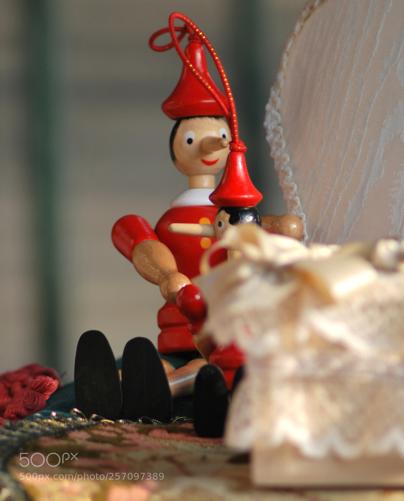 Nikon D60 sample photo. Version photography