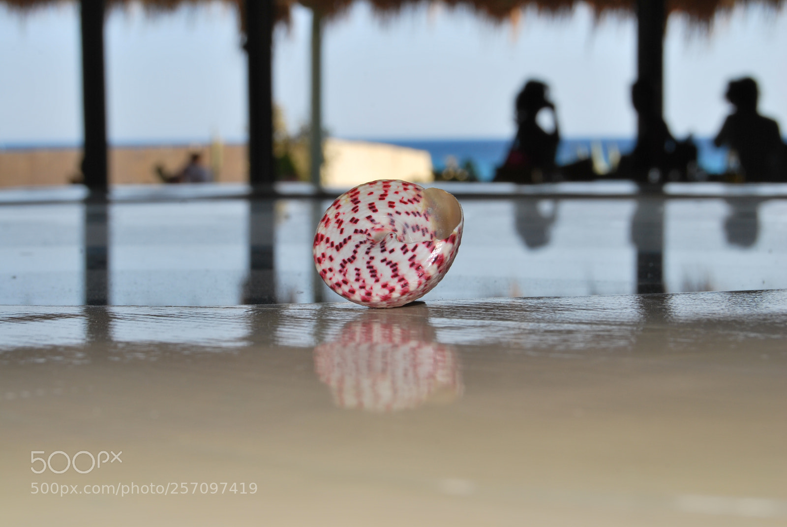 Nikon D60 sample photo. Version photography