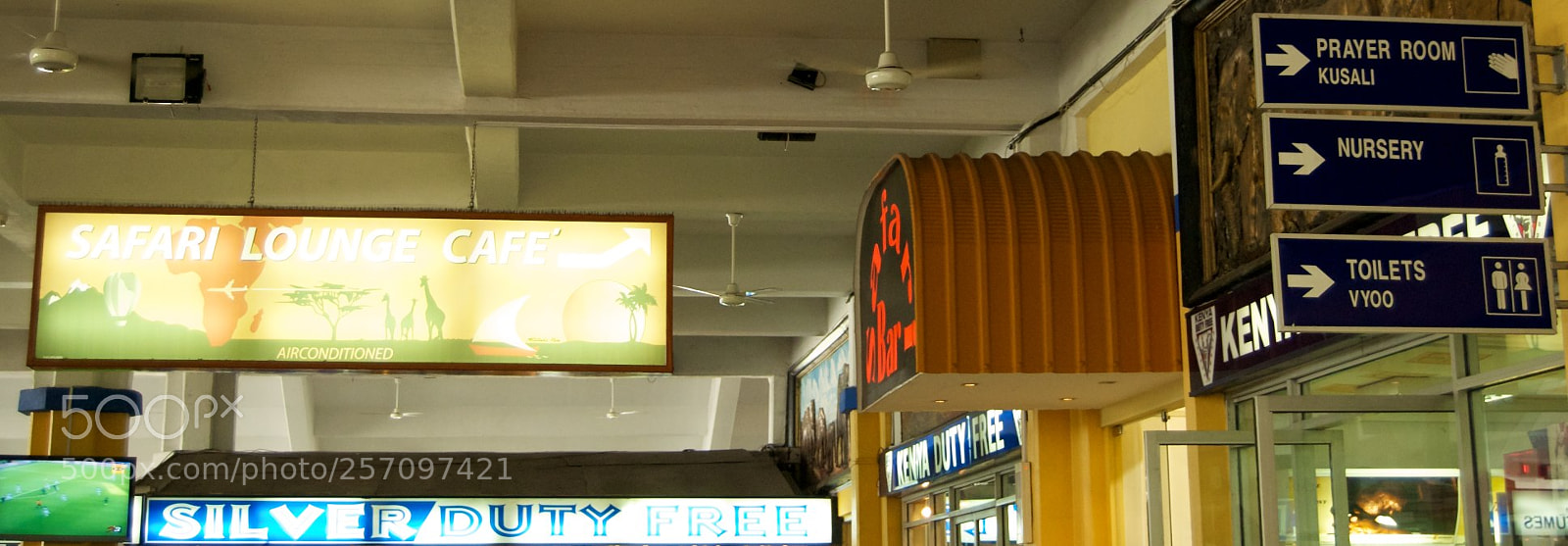 Nikon D60 sample photo. Version photography