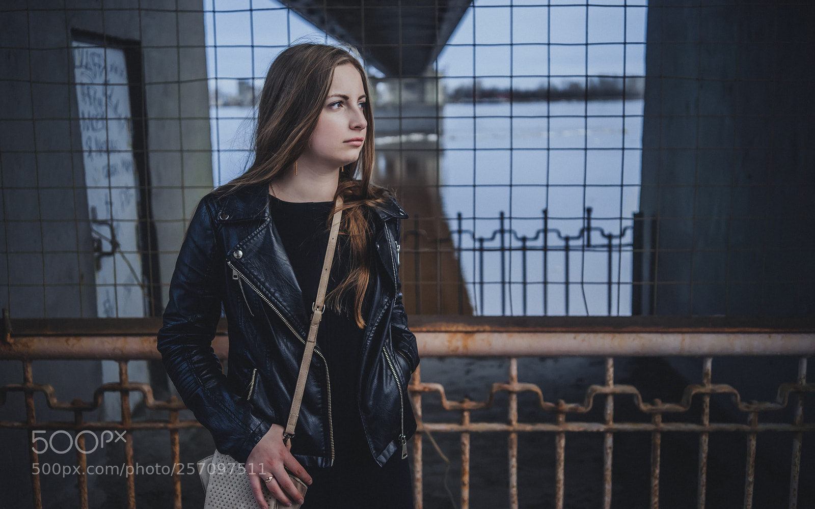 Sony a7 sample photo. Мост photography