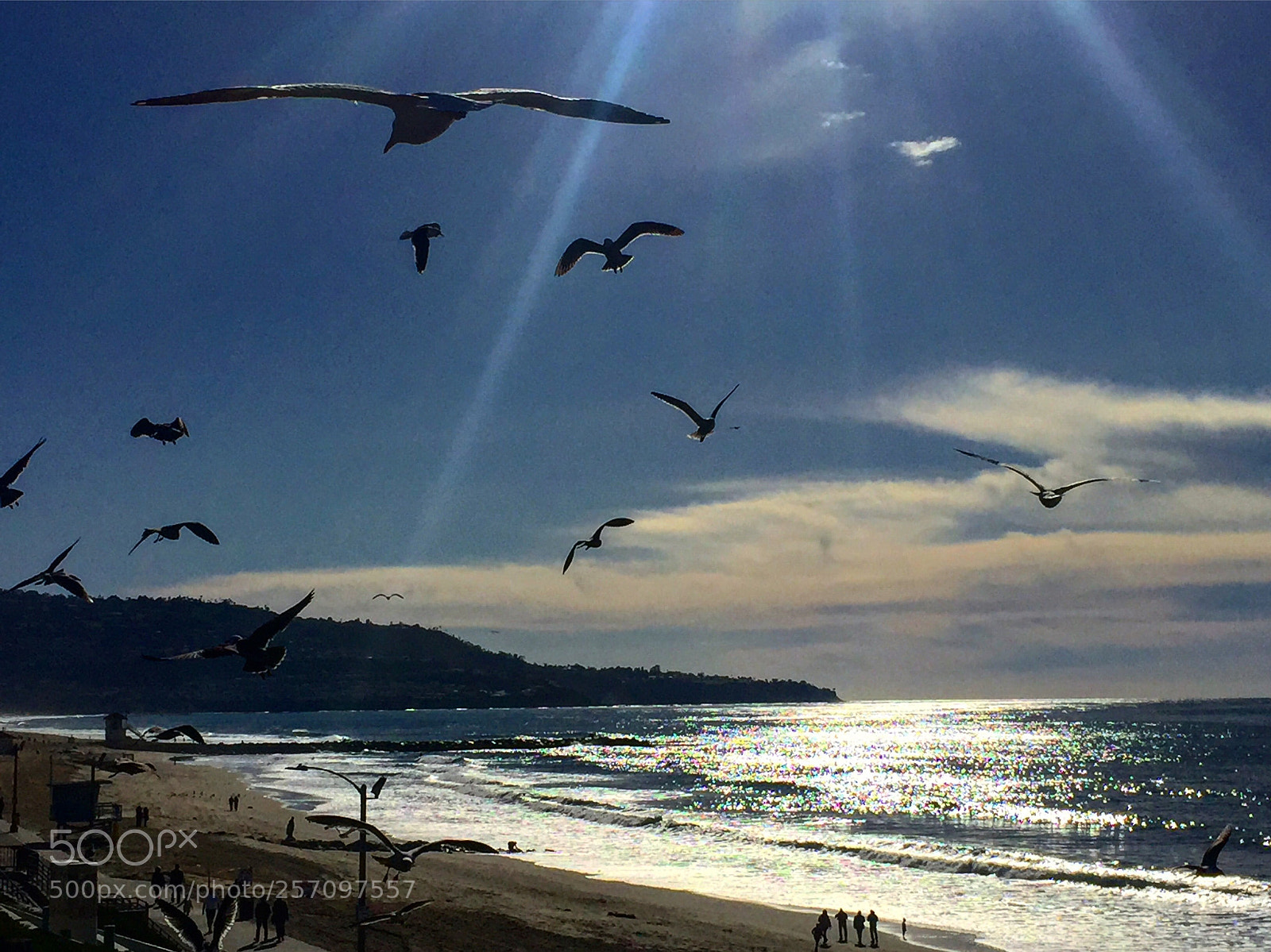 Apple iPhone 6 sample photo. Untitled photography