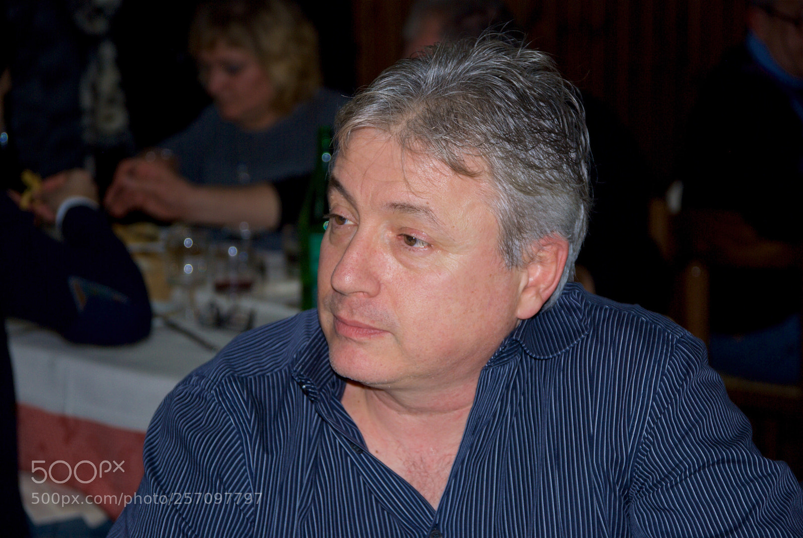 Nikon D60 sample photo. Version photography