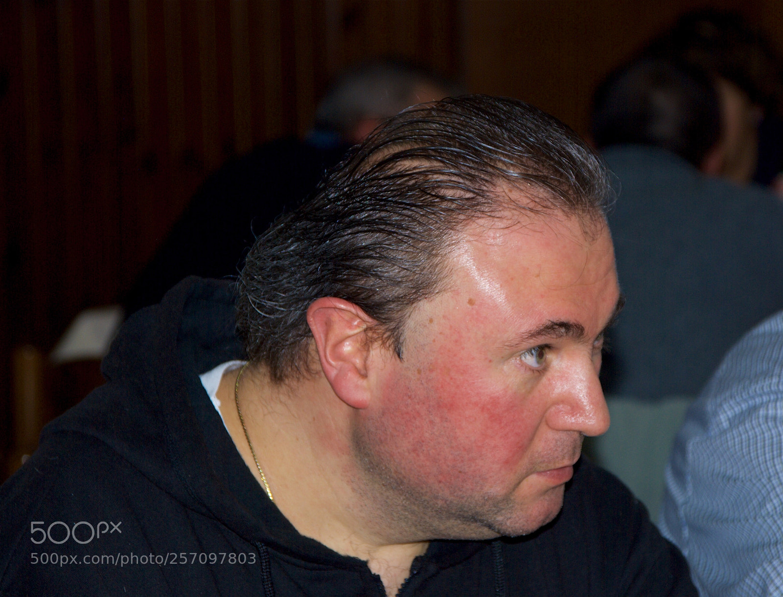 Nikon D60 sample photo. Version photography