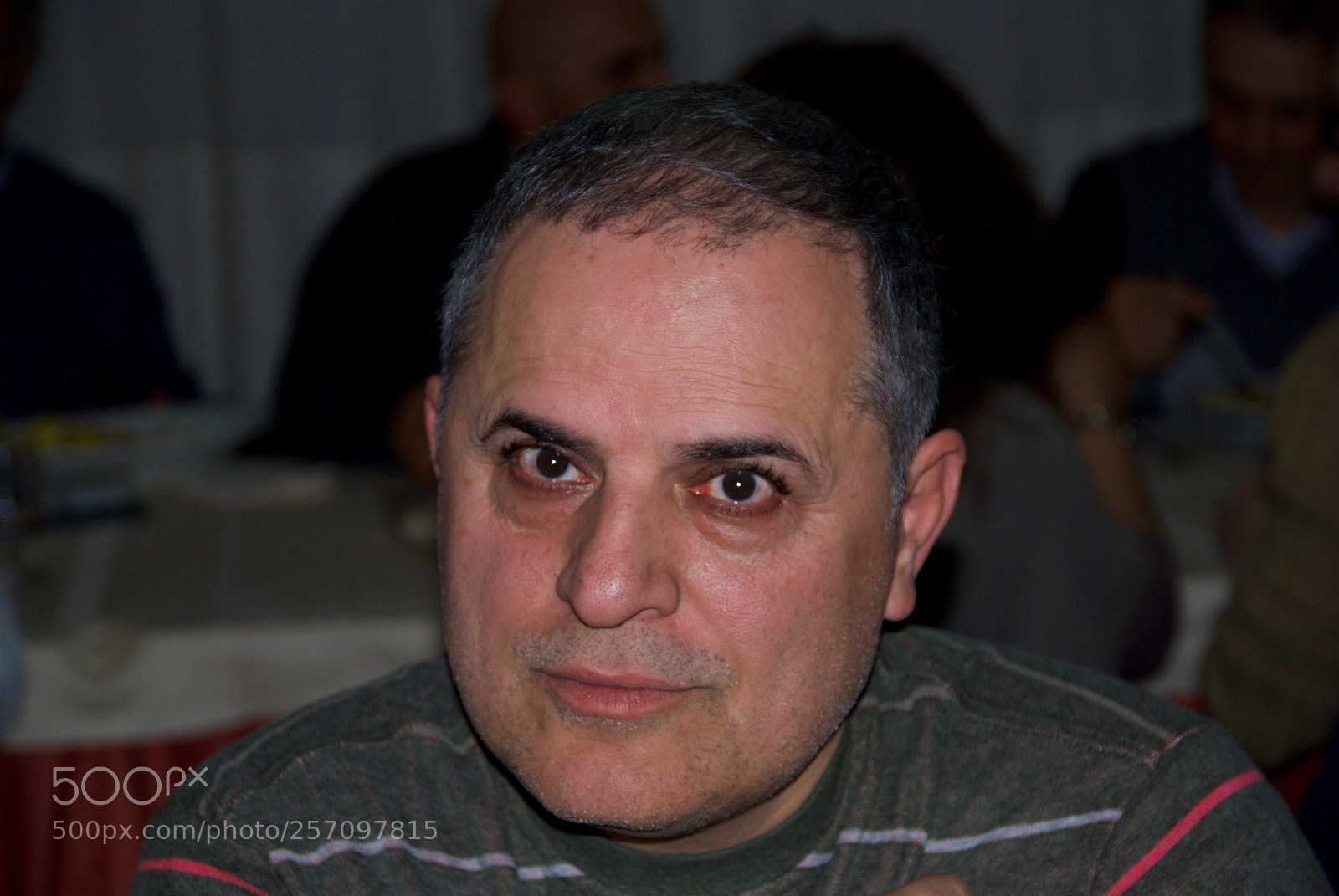 Nikon D60 sample photo. Version photography
