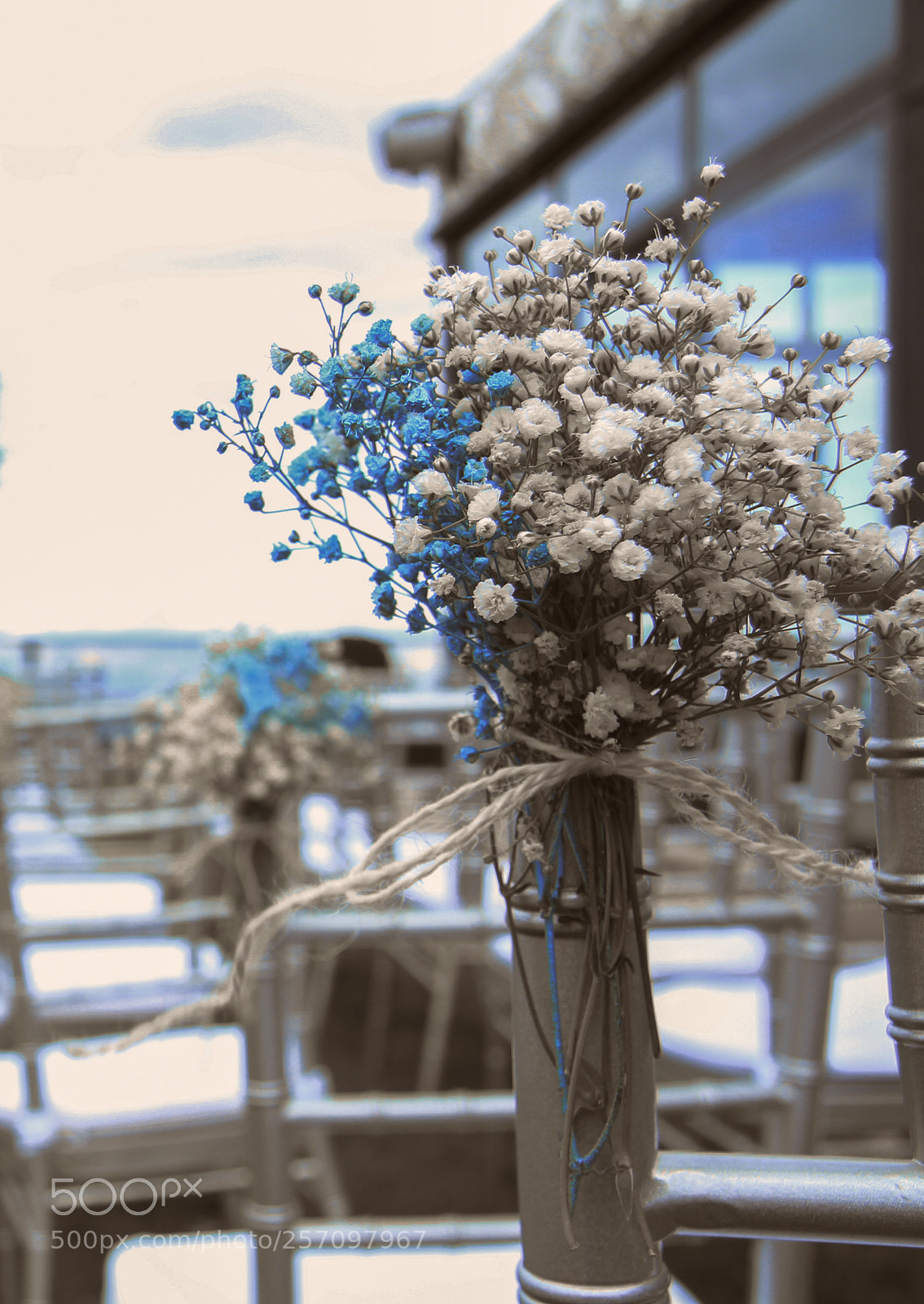 Canon EOS 7D sample photo. Untitled photography