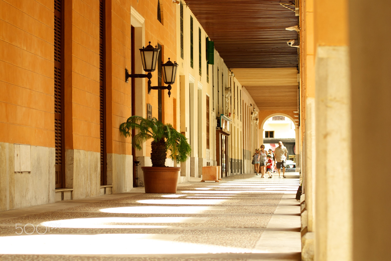 Nikon D60 sample photo. Version photography