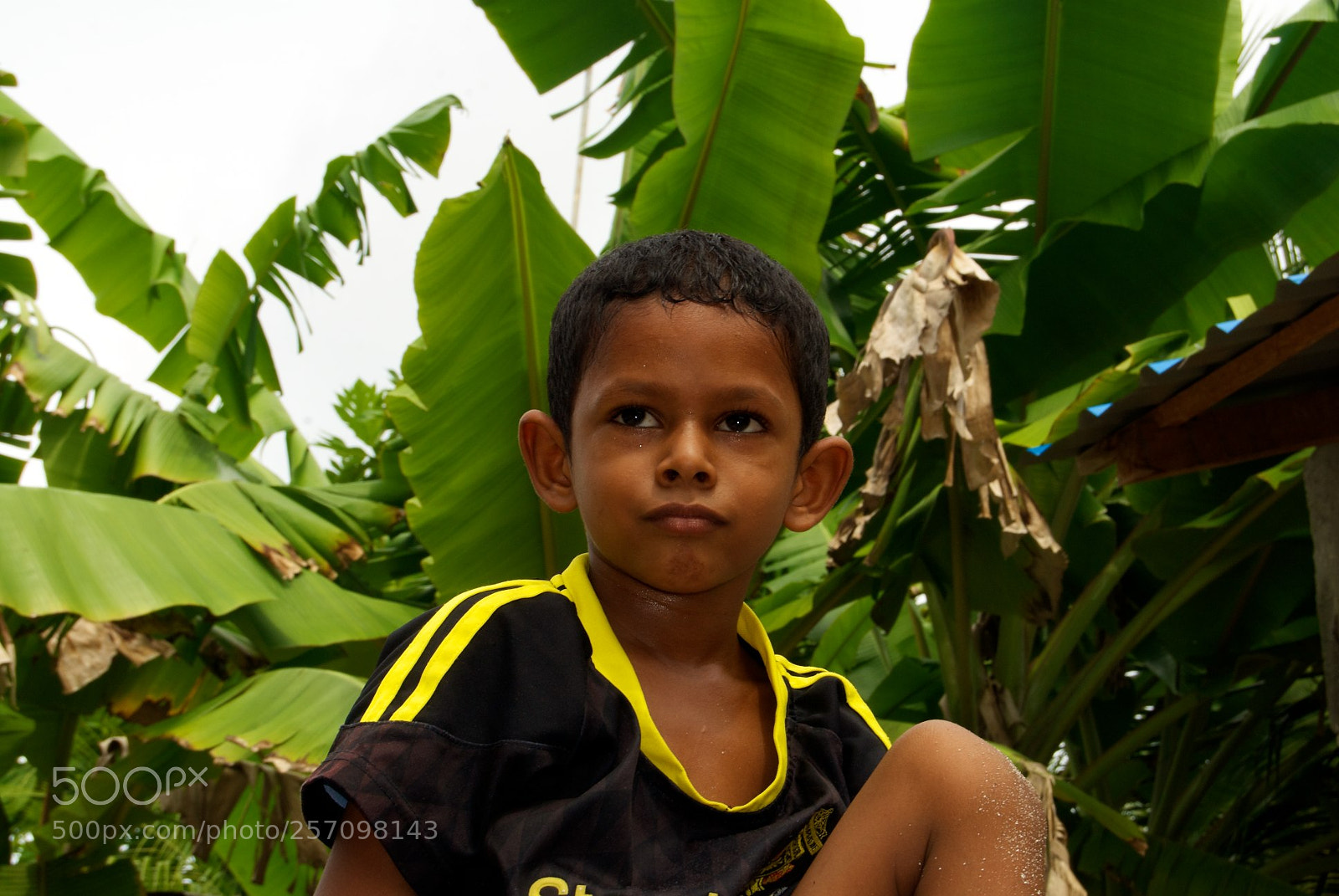Nikon D60 sample photo. Version photography