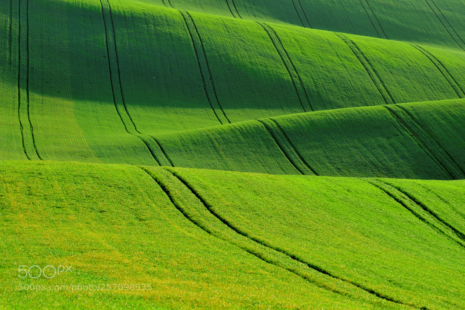 Nikon D5300 sample photo. Green waves photography